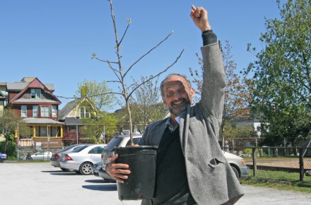 happy tree buyer copy